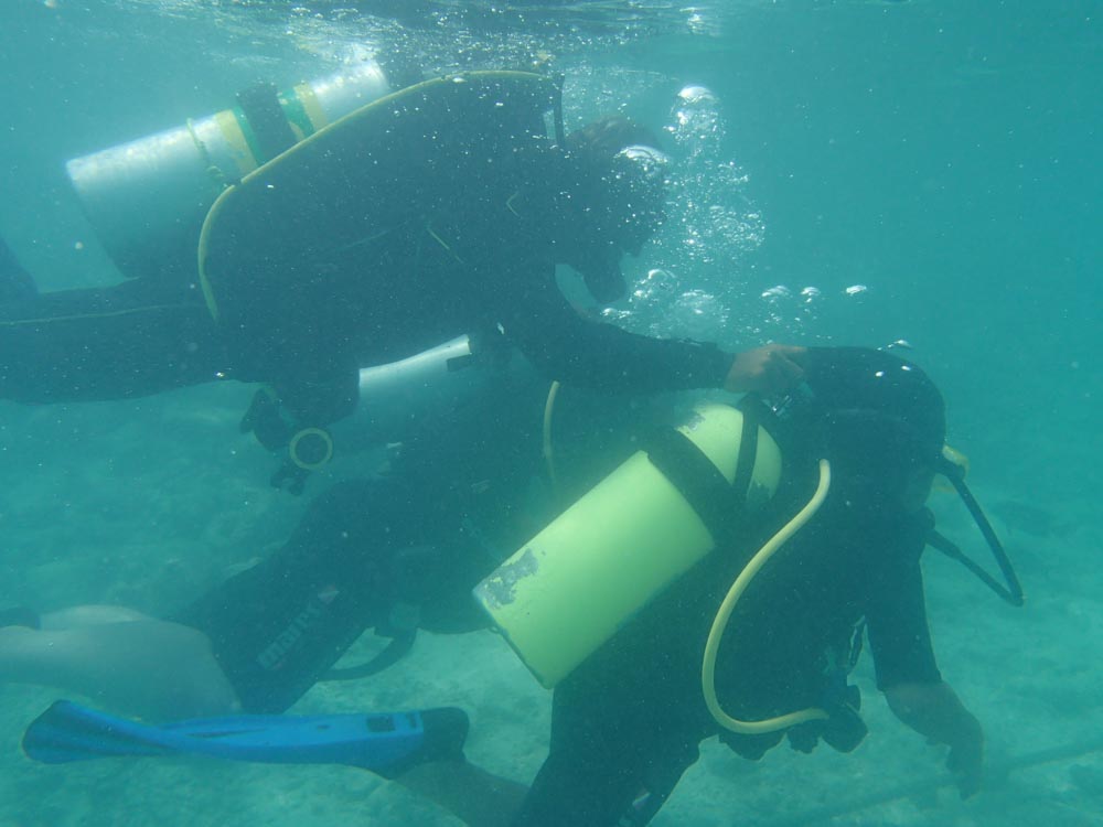 snorkeling bandos maldives-9