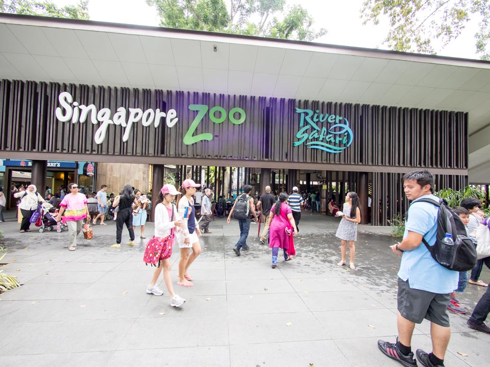 シンガポール動物園とナイトサファリ-2