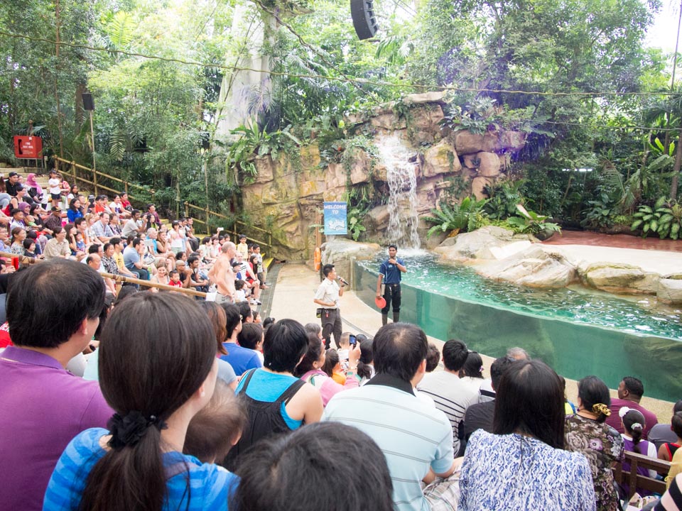 シンガポール動物園とナイトサファリ-9