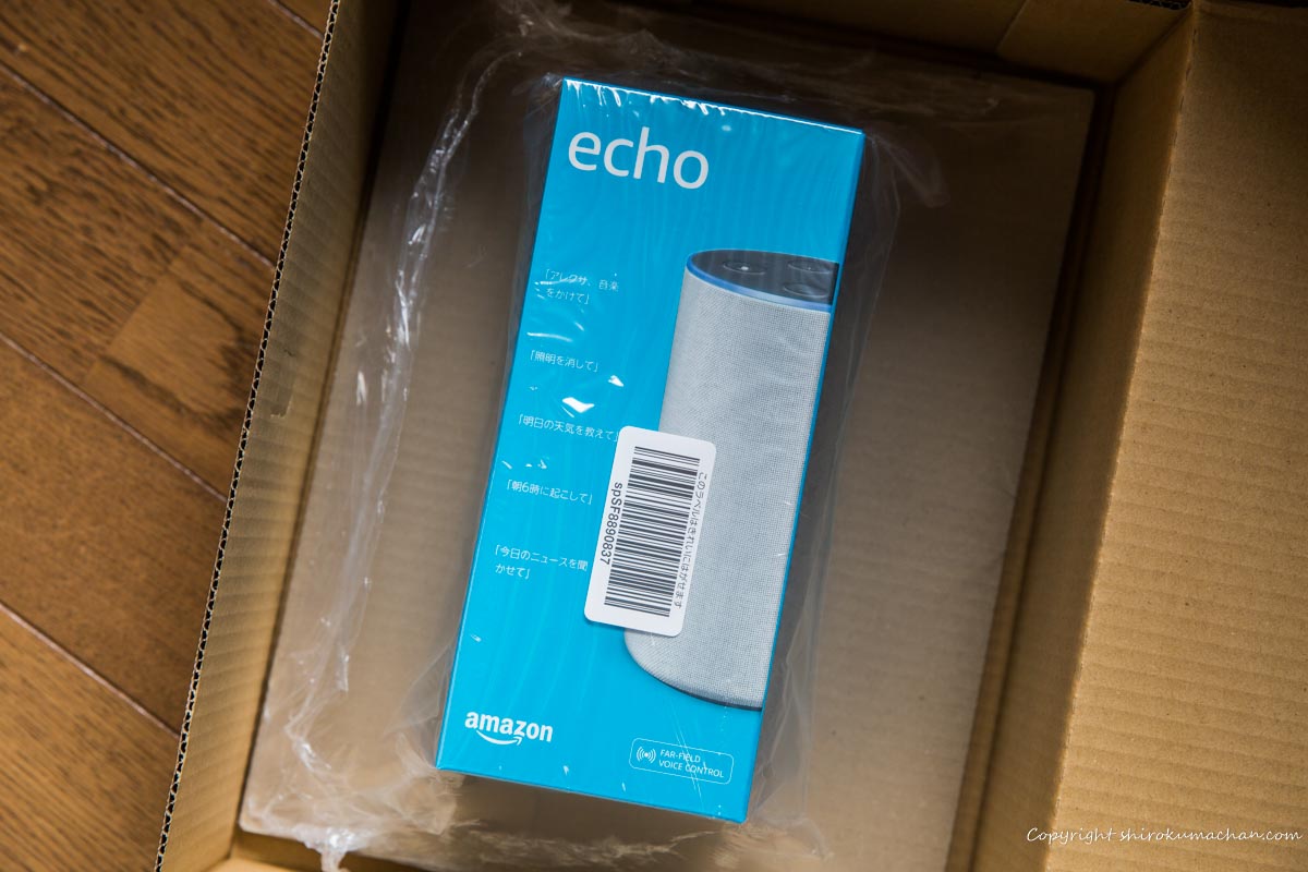 Amazon Echo Setting