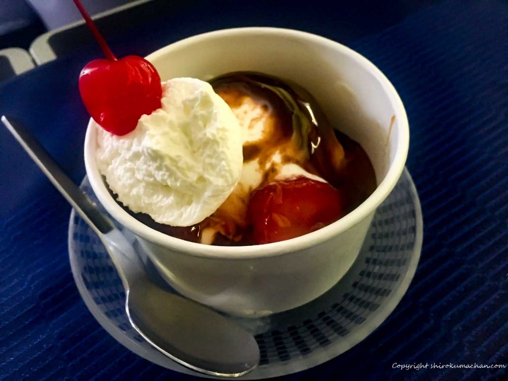 United Airlines Business Class Reviews-Ice-cream
