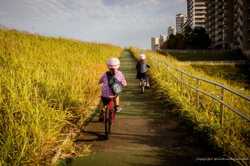 family bike riding