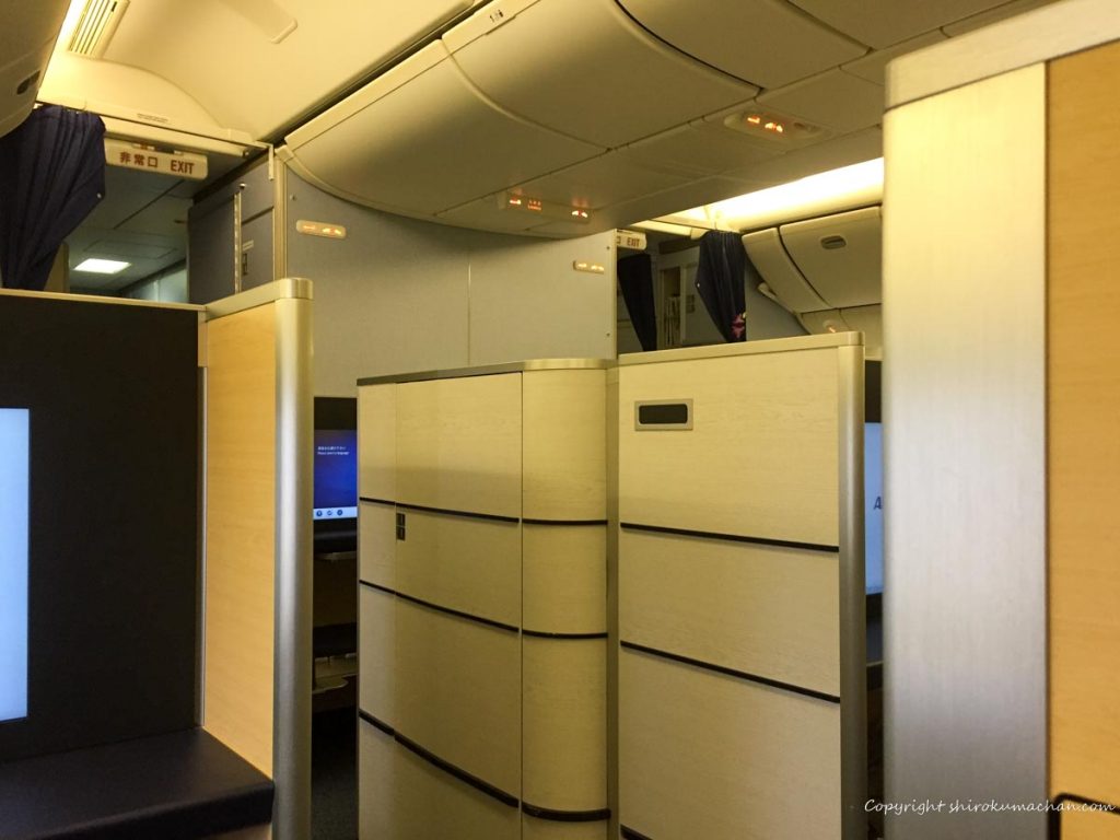 ANA First Class Review