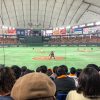 Tokyo Dome Base Ball with Canned Bear