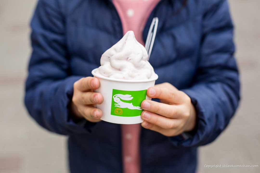 Usagiya Soft Cream