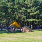 上大島キャンプ場ブログ